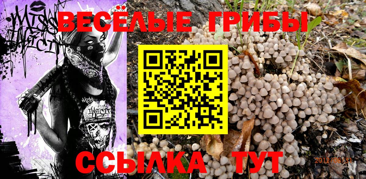 Галлюциногенные грибы Magic Shrooms Белово